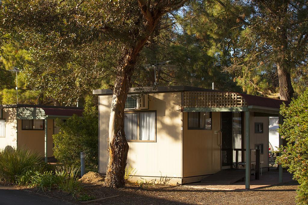 Big 4 Barossa Tourist Park Nuriootpa Quarto foto